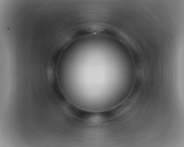 X0000113530460200909250909