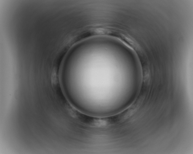 X0000113530469200909250909