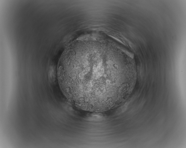 X0000113530475200909250909