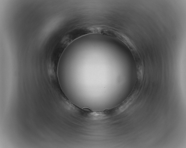 X0000113530477200909250909