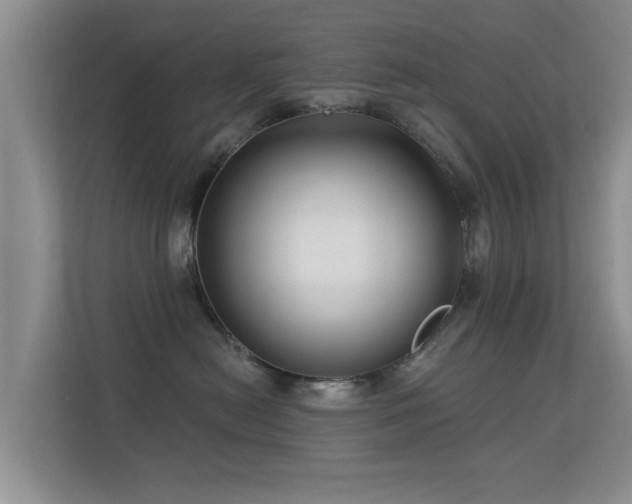 X0000113530478200909250909