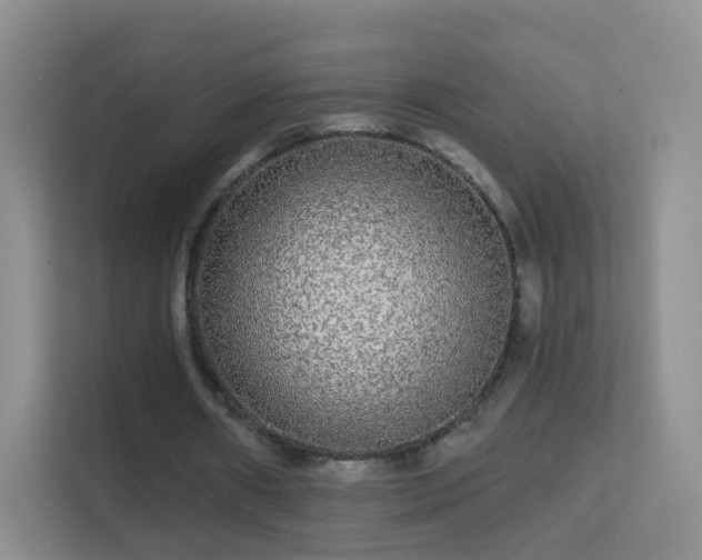 X0000113530482200909250909