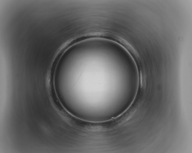 X0000113530483200909250909