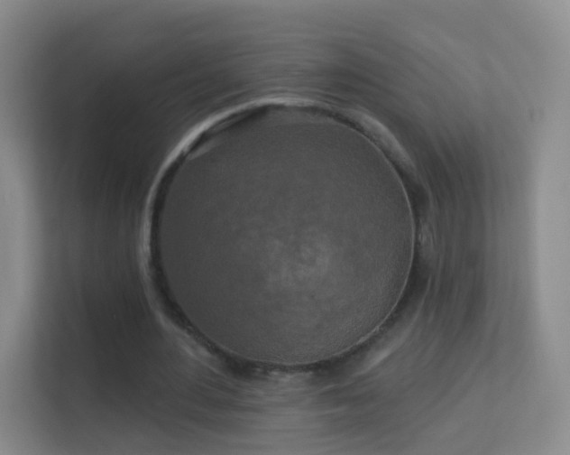 X0000113530484200909250909