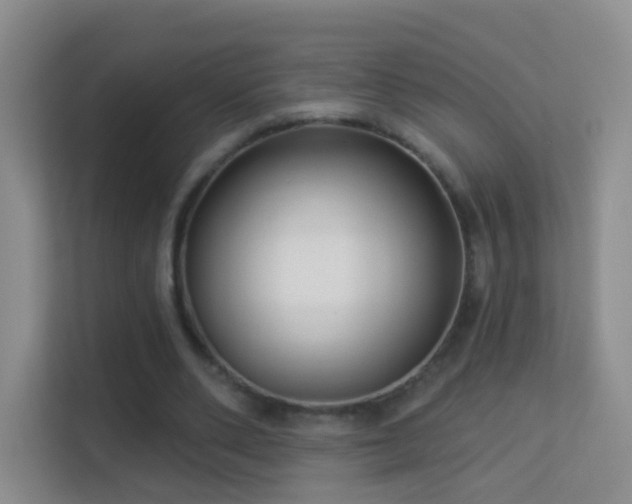 X0000113530486200909250909