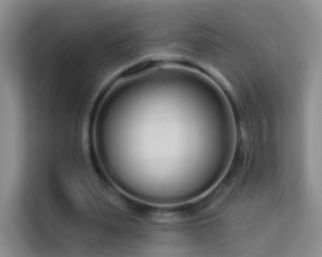 X0000113530487200909250909