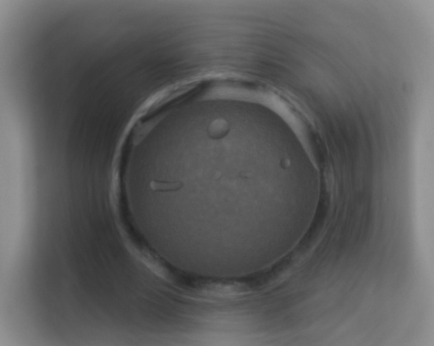 X0000113530488200909250909