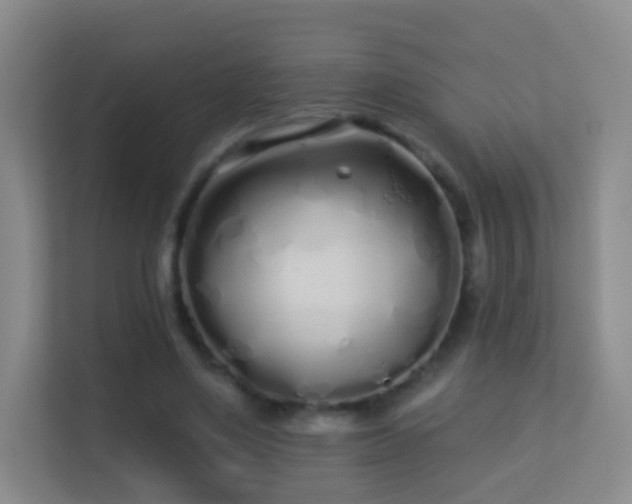 X0000113530491200909250909