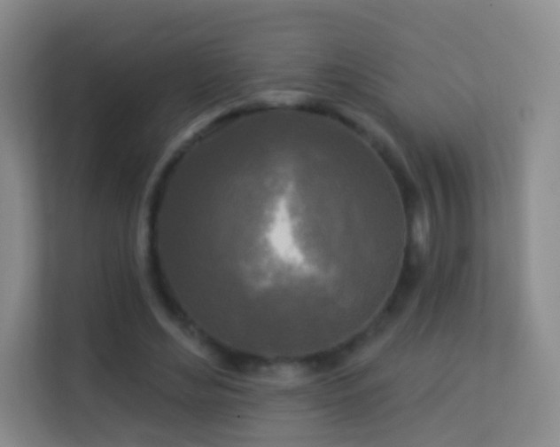 X0000113530492200909250909