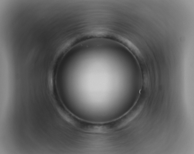 X0000113530493200909250909