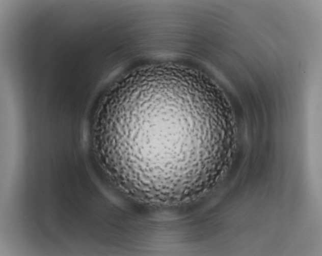 X0000113530494200909250909