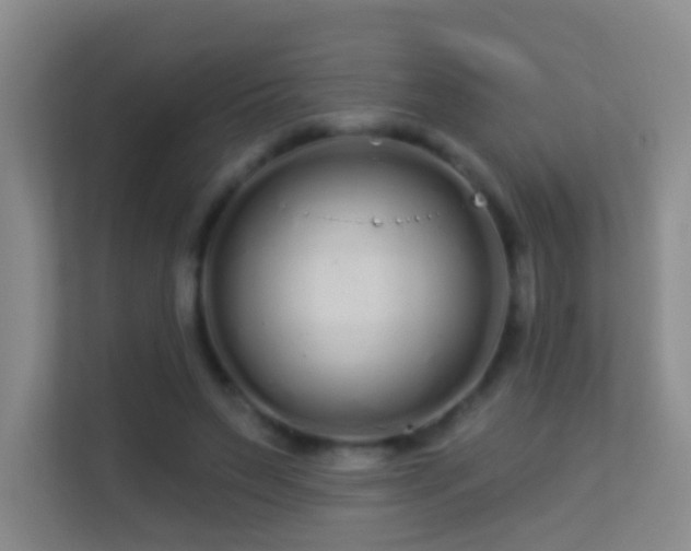 X0000113530495200909250909