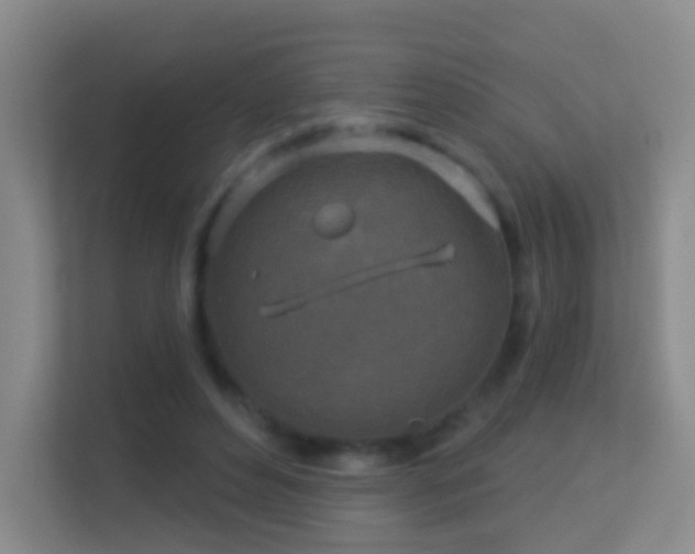 X0000113530496200909250909