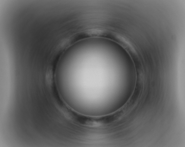 X0000113530498200909250909