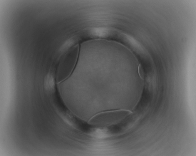 X0000113530500200909250909