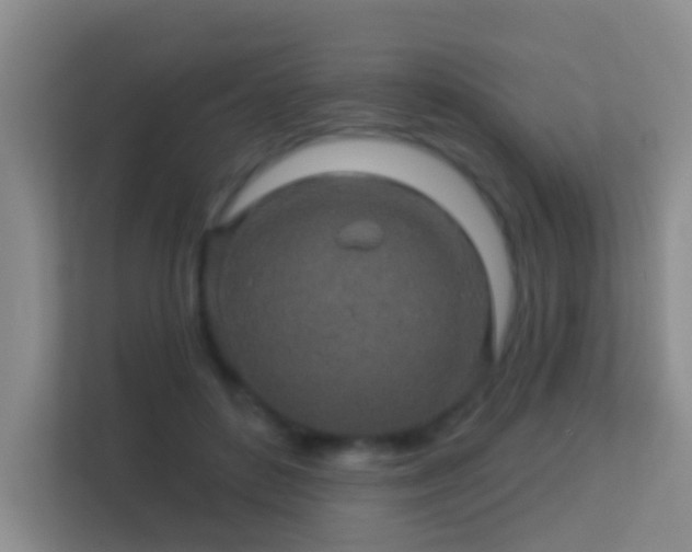 X0000113530504200909250908