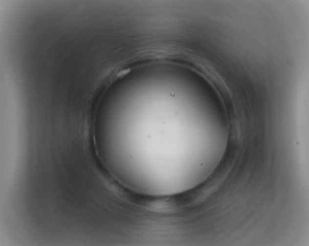 X0000113530505200909250908