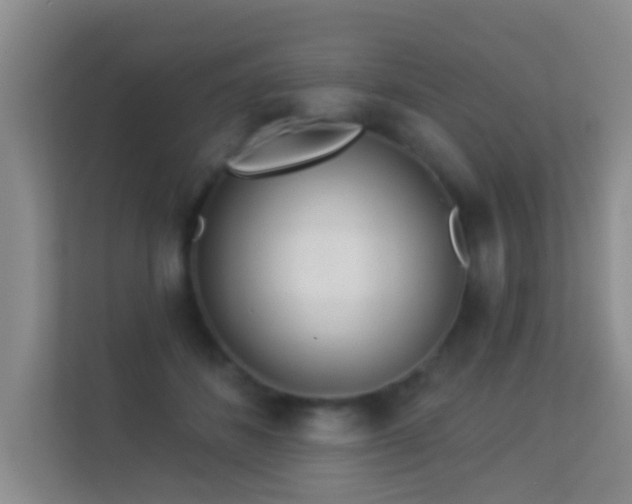 X0000113530508200909250908