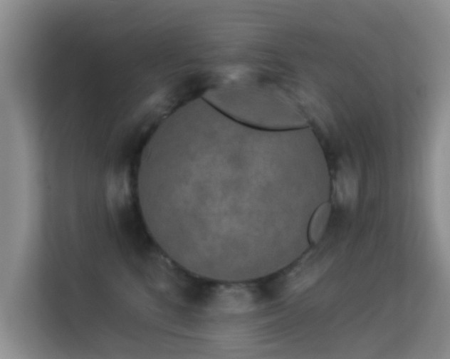 X0000113530520200909250908