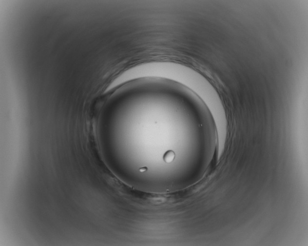 X0000113530521200909250908