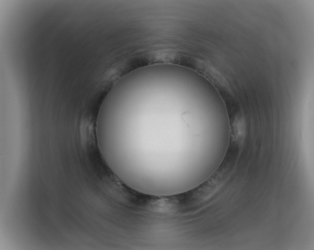 X0000113530522200909250908