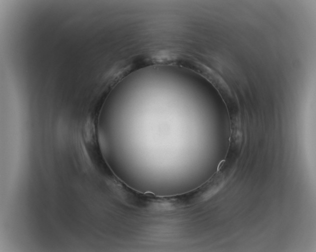 X0000113530523200909250908