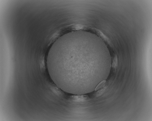 X0000113530524200909250908