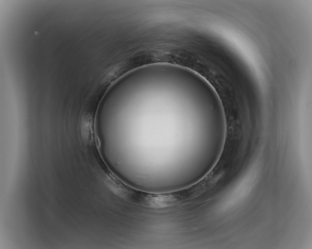 X0000113530527200909250908