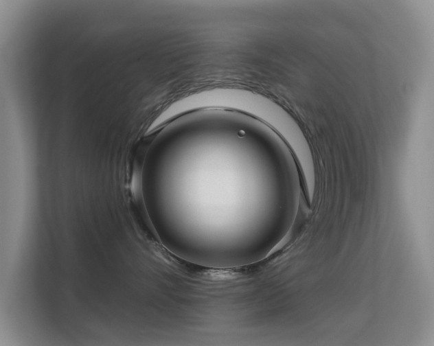 X0000113530528200909250908