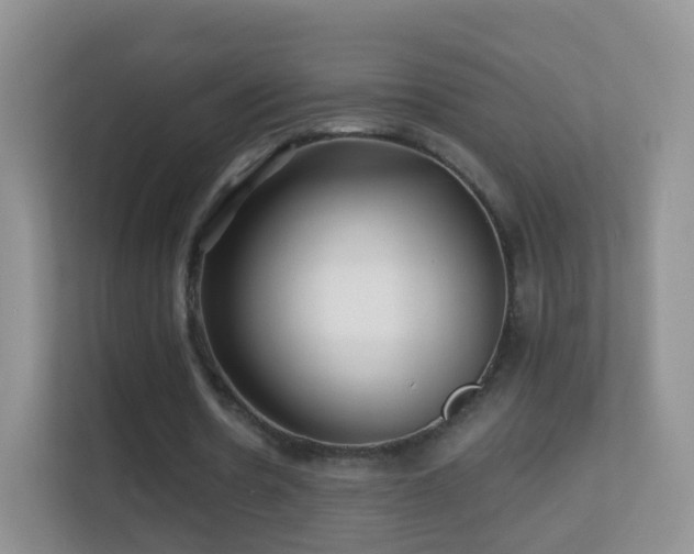 X0000113530530200909250908