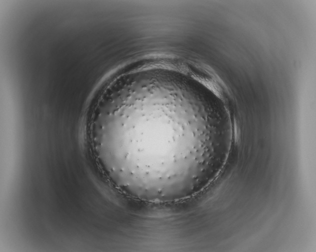 X0000113530531200909250908