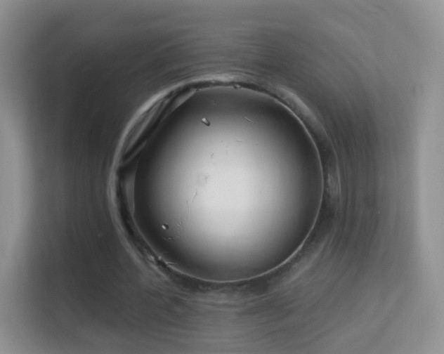 X0000113530532200909250908