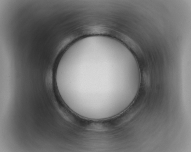 X0000113530534200909250908