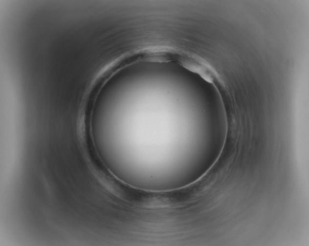 X0000113530535200909250908