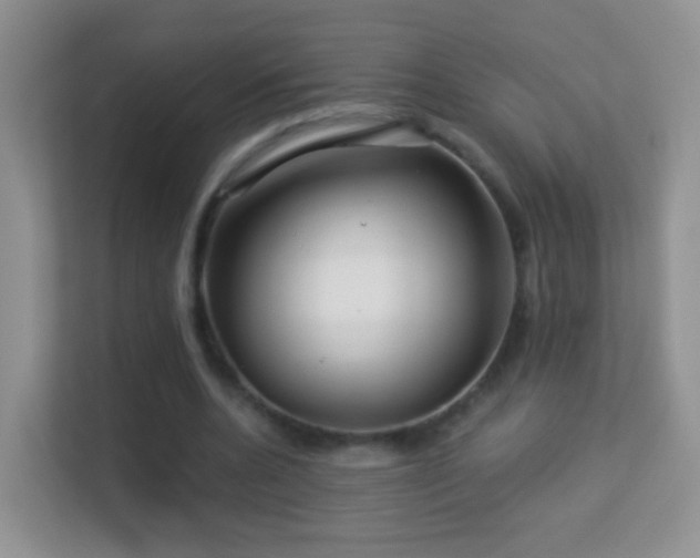 X0000113530536200909250908