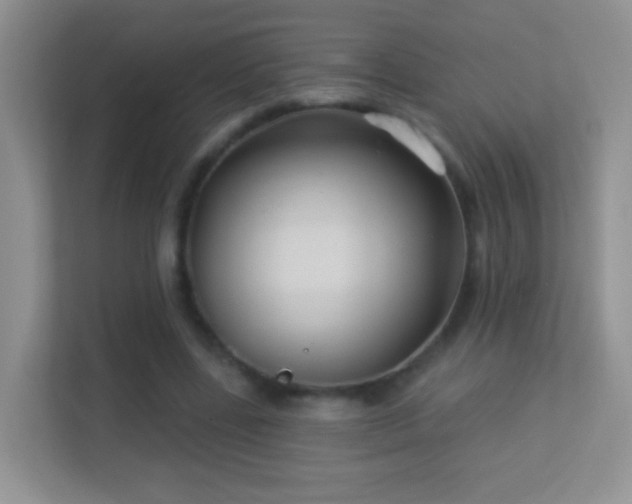 X0000113530539200909250908