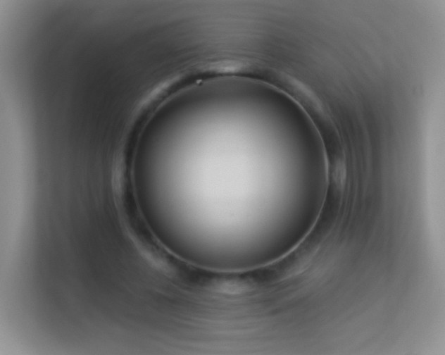 X0000113530540200909250908