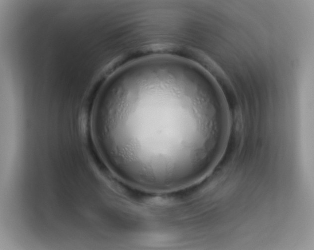 X0000113530542200909250908