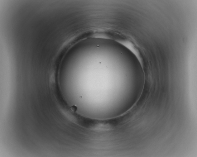 X0000113530543200909250908