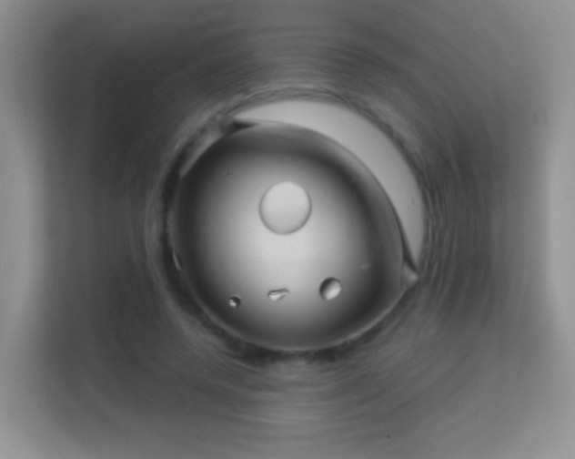 X0000113530544200909250908