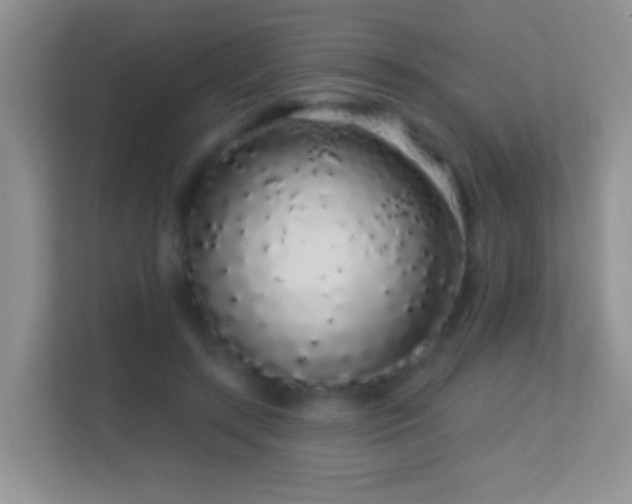 X0000113530547200909250908