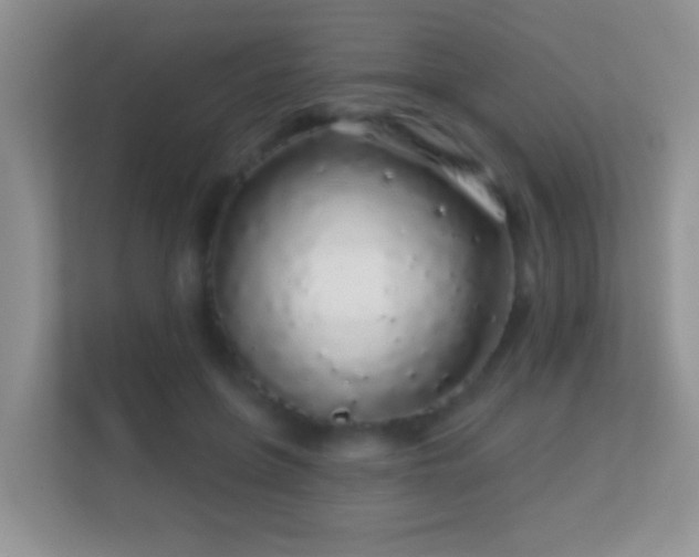 X0000113530551200909250908