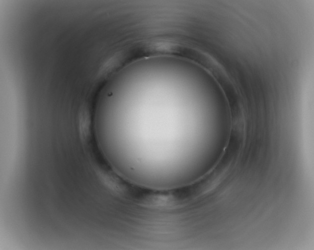 X0000113530552200909250908