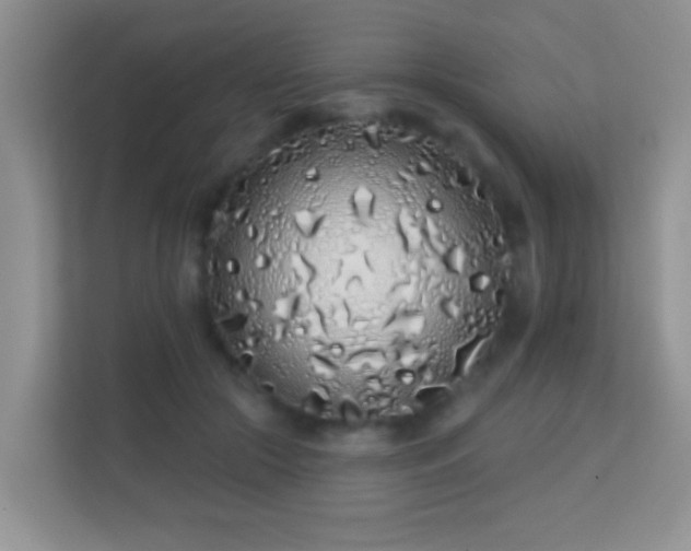 X0000113530553200909250908