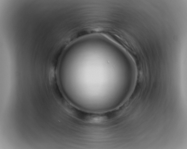 X0000113530555200909250908