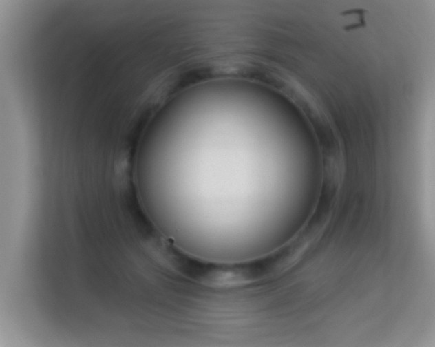 X0000113530557200909250908