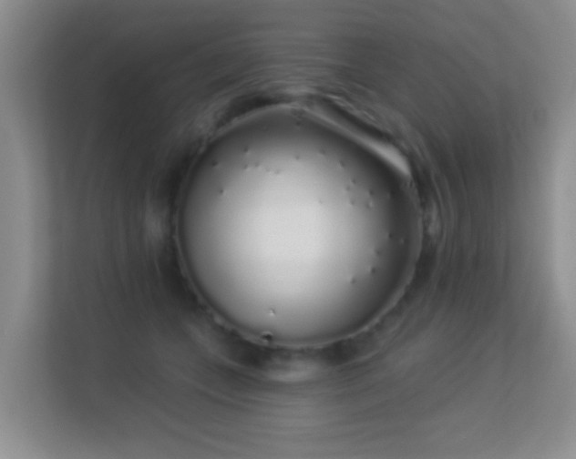 X0000113530559200909250908