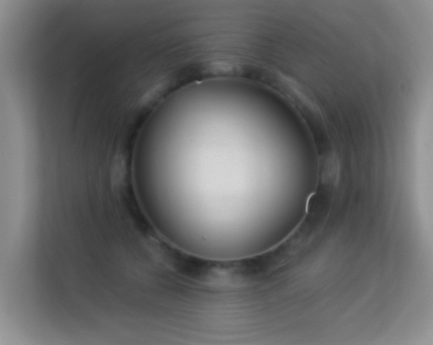 X0000113530560200909250908