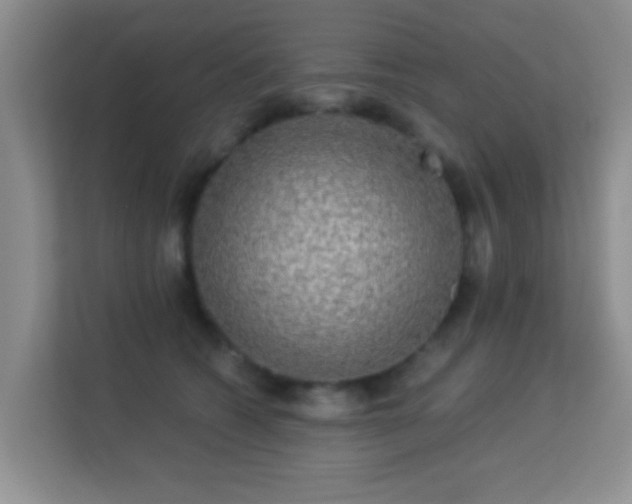 X0000113530562200909250908