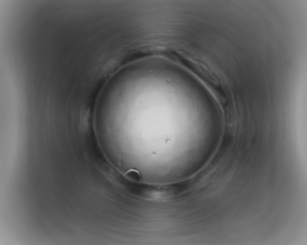 X0000113530563200909250908